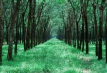 grow your followers strategically