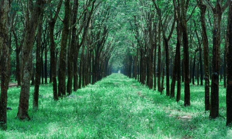 grow your followers strategically