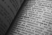 meaning and explanation provided