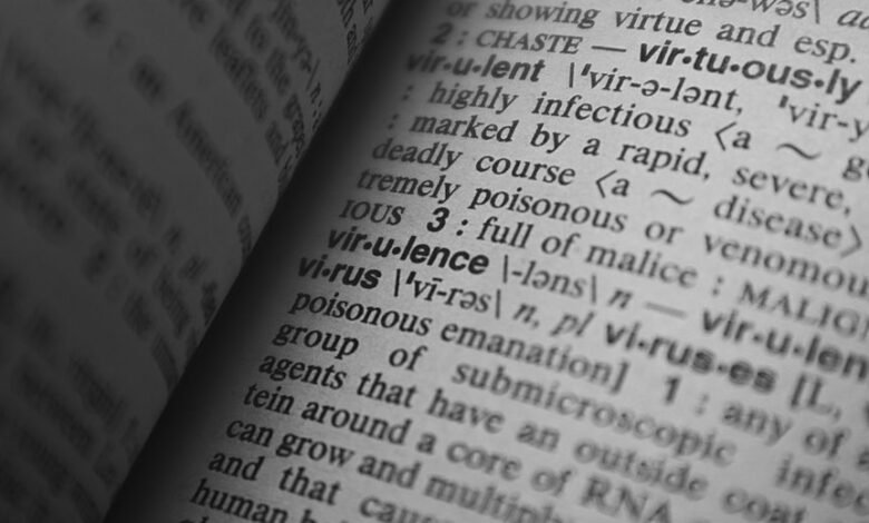 meaning and explanation provided