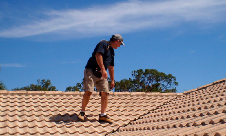 The Ultimate Guide to Pest Inspection in Gold Coast